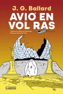 Avió en vol ras