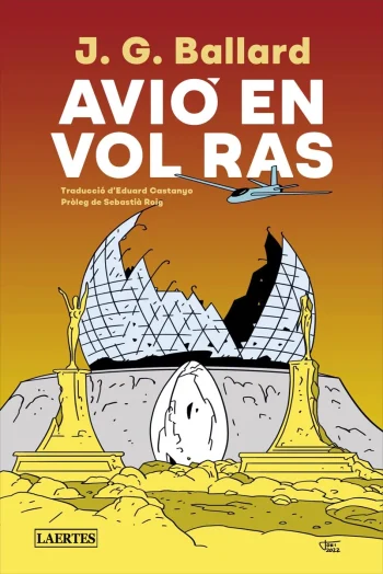 Avió en vol ras