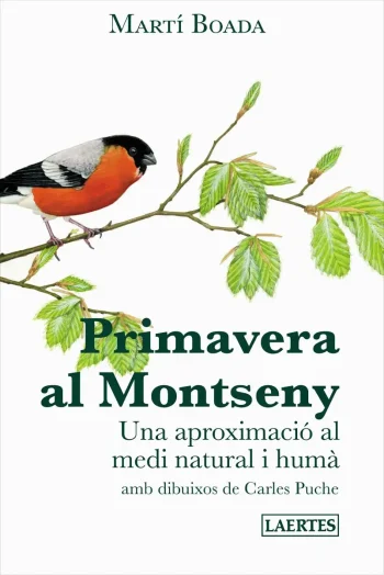 Primavera al Montseny